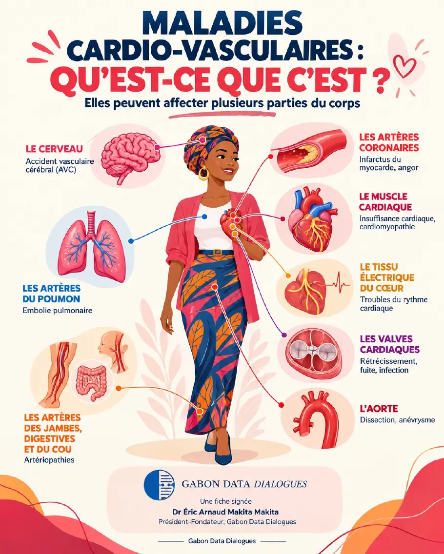 Fiche 2 — Maladies cardiovasculaires : qu'est-ce que c'est ? Les organes qu'elles peuvent toucher : cerveau (AVC), artères coronaires (infarctus), muscle cardiaque, tissu électrique, valves, aorte, artères du poumon et des membres