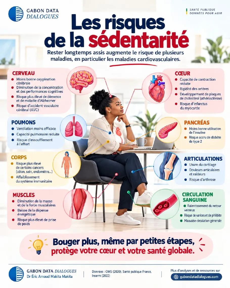 Fiche 5 — Les risques de la sédentarité : rester longtemps assis affecte le cerveau, le cœur, les poumons, le pancréas, les muscles, les articulations et la circulation sanguine